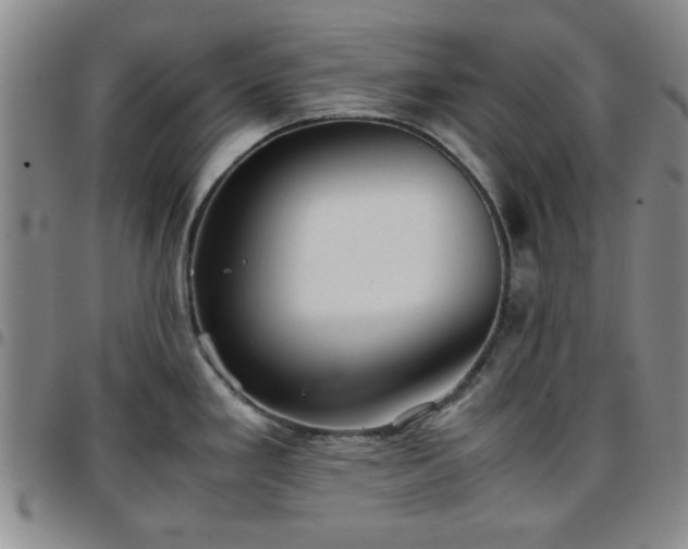 X0000097761293200803141715