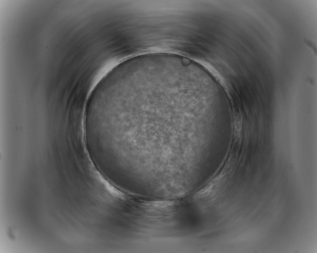 X0000097761294200803141715