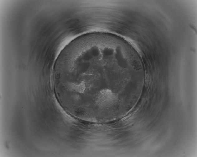 X0000097761295200803141715