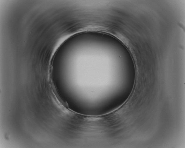 X0000097761296200803141715