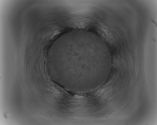 X0000097761297200803141714