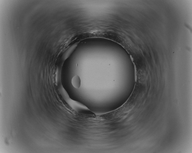 X0000097761298200803141714