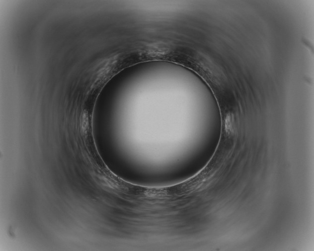 X0000097761299200803141714