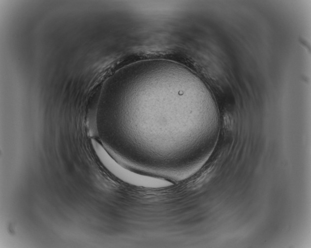 X0000097761300200803141714