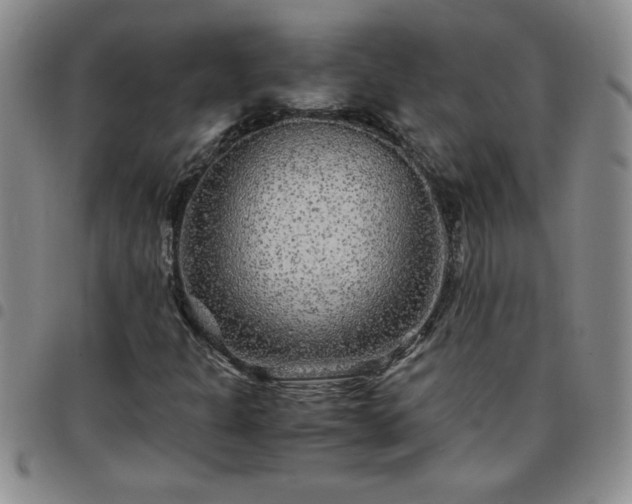 X0000097761301200803141714