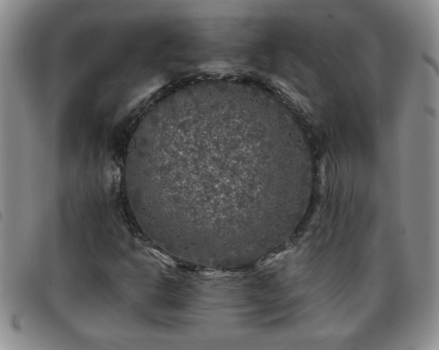 X0000097761302200803141714