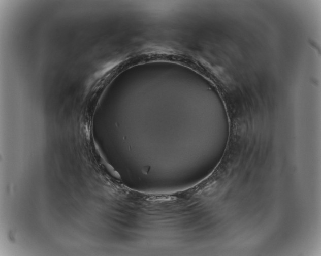 X0000097761303200803141714