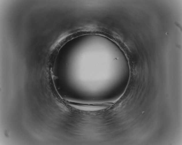 X0000097761304200803141714