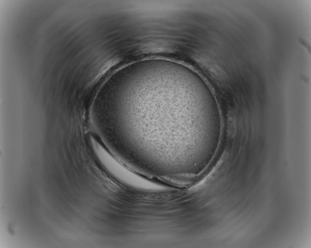 X0000097761305200803141714