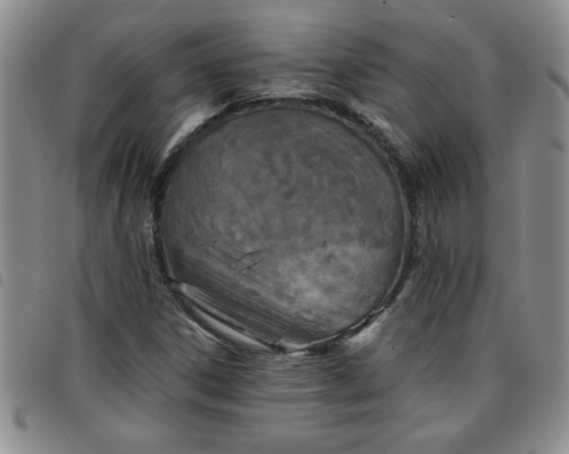 X0000097761306200803141714