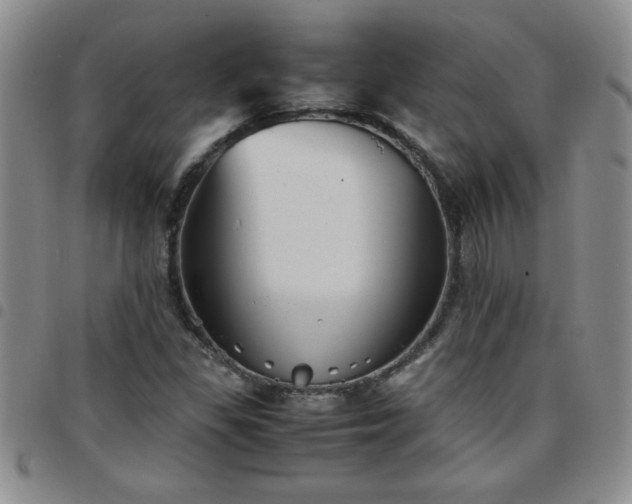 X0000097761309200803141714