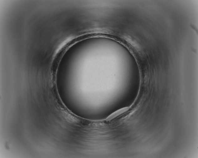 X0000097761310200803141714