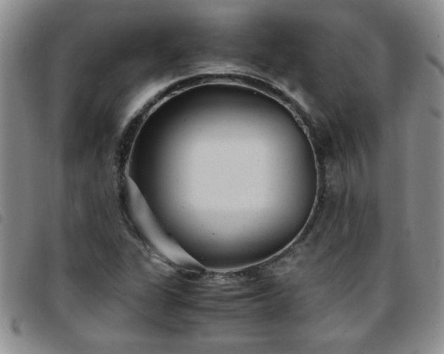 X0000097761311200803141714