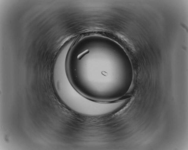 X0000097761313200803141714