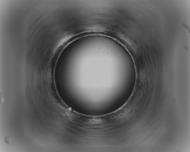 X0000097761315200803141714