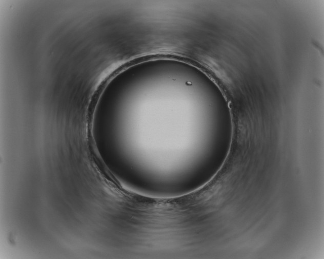 X0000097761316200803141714