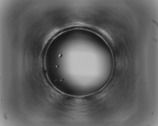 X0000097761318200803141714