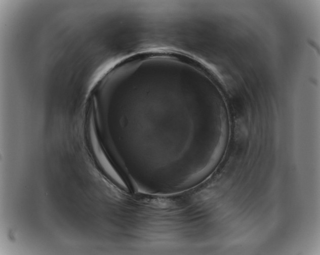 X0000097761319200803141714