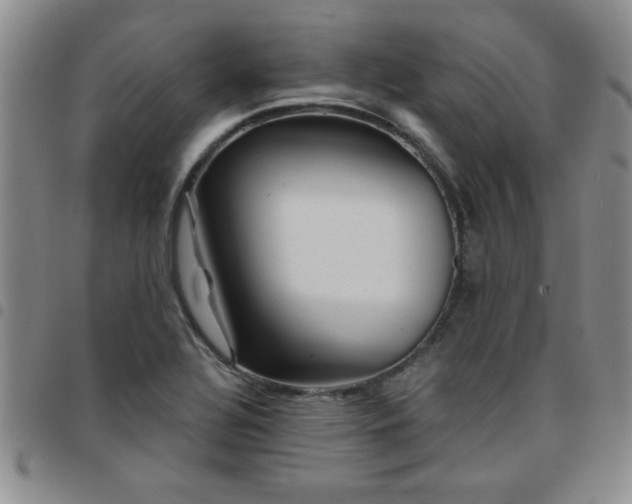 X0000097761320200803141714