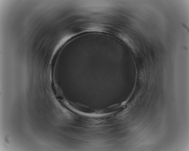 X0000097761323200803141714