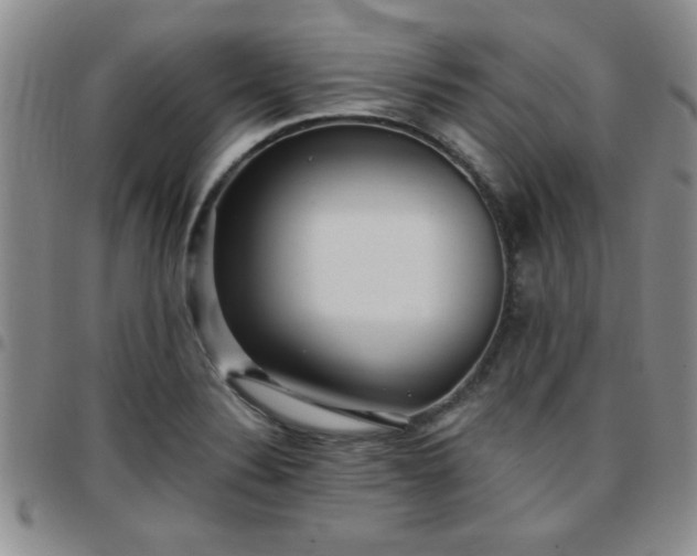 X0000097761324200803141714