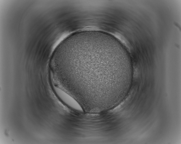 X0000097761325200803141714
