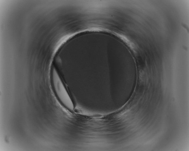 X0000097761327200803141714