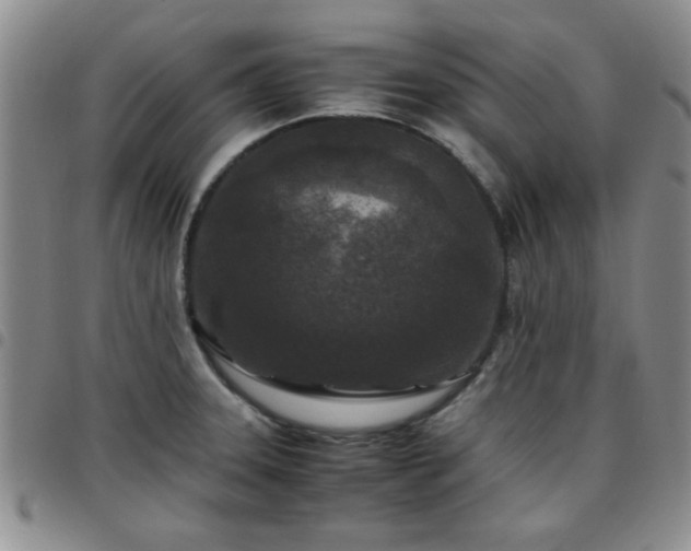 X0000097761331200803141715