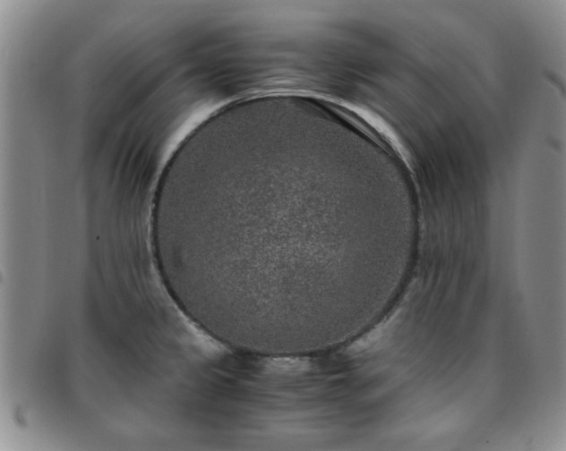 X0000097761333200803141715