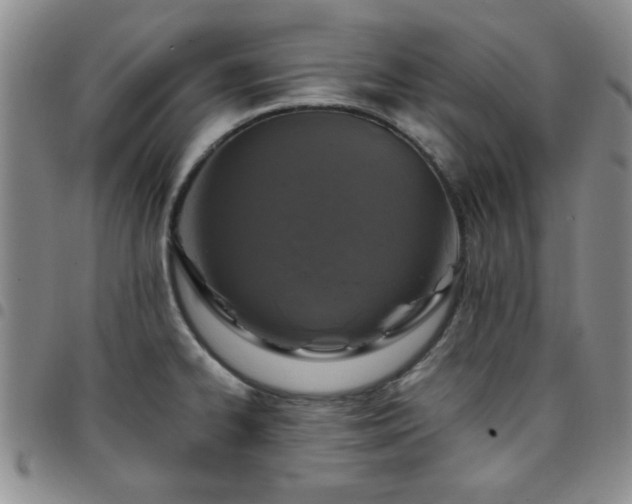 X0000097761334200803141715