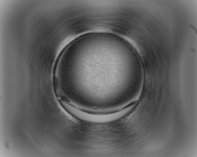 X0000097761335200803141715