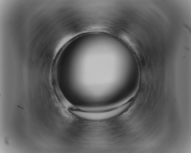 X0000097761336200803141715