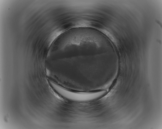 X0000097761337200803141715