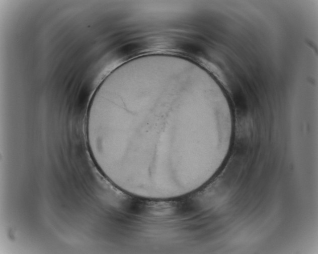 X0000097761338200803141715