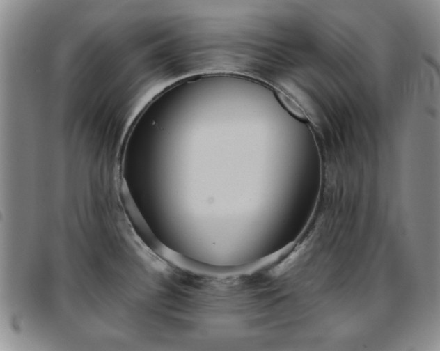 X0000097761340200803141715