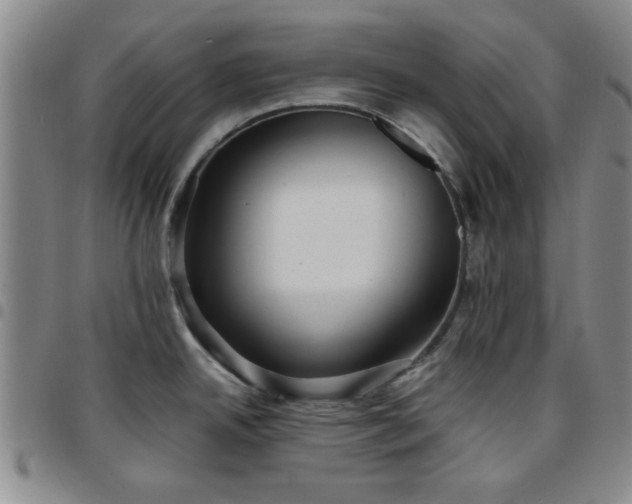 X0000097761342200803141715