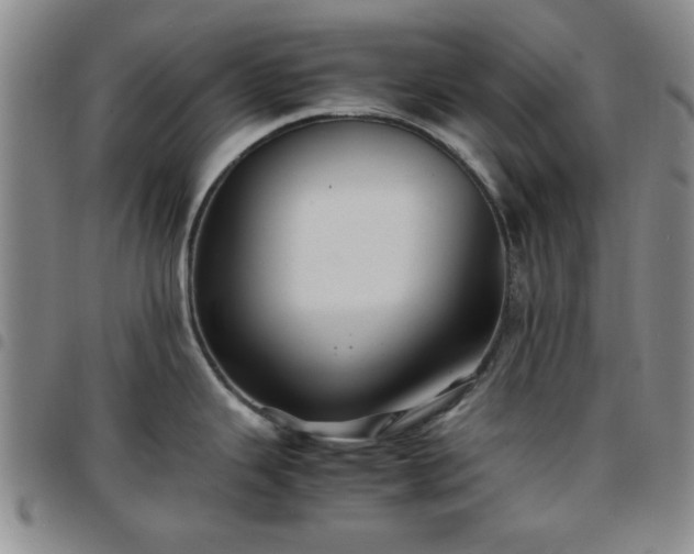 X0000097761343200803141715