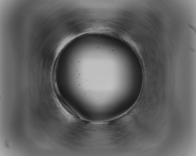 X0000097761344200803141715