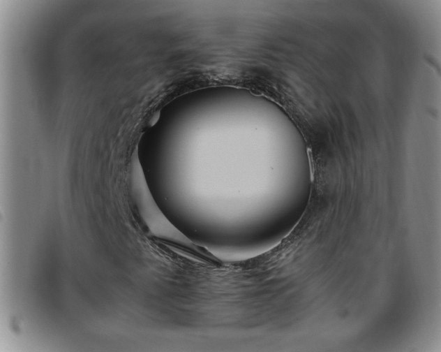 X0000097761345200803141714