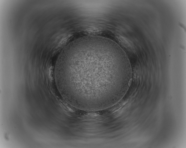 X0000097761346200803141714