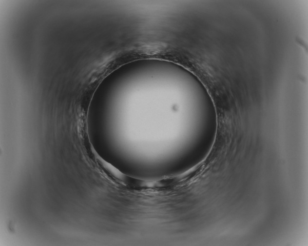 X0000097761349200803141714