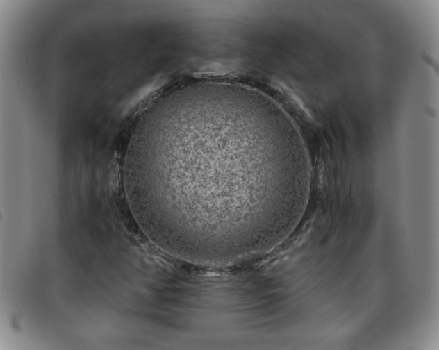 X0000097761350200803141714