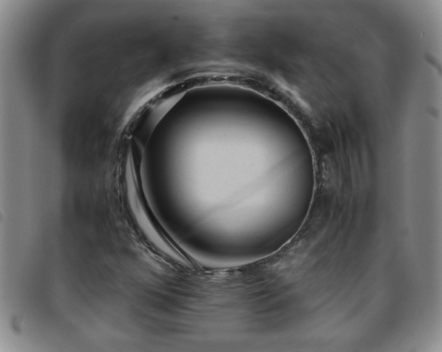 X0000097761352200803141714