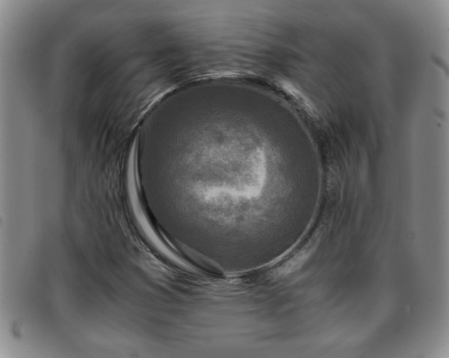 X0000097761353200803141714