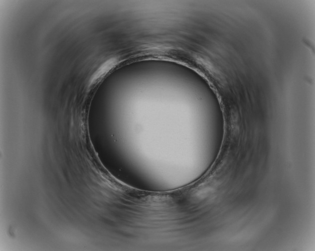 X0000097761354200803141714