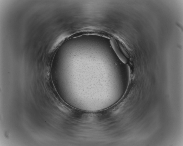 X0000097761355200803141714