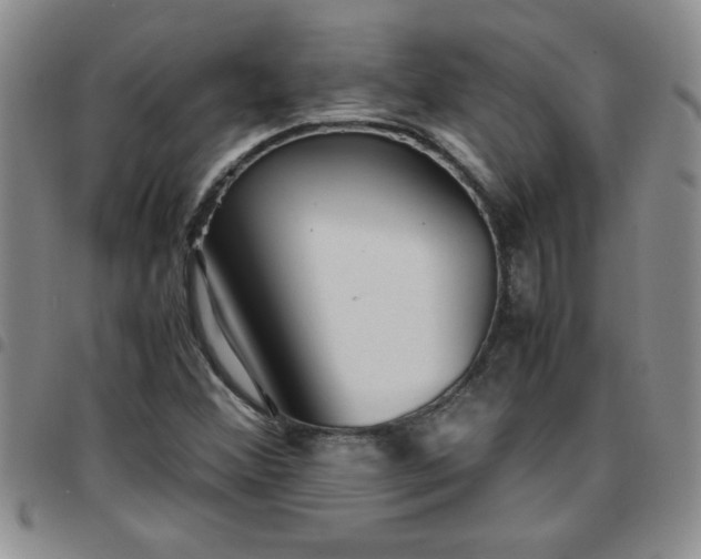 X0000097761356200803141714