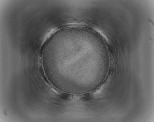 X0000097761357200803141714