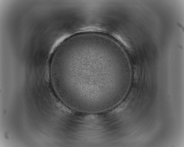 X0000097761358200803141714