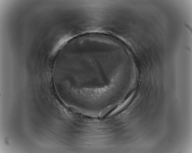 X0000097761359200803141714